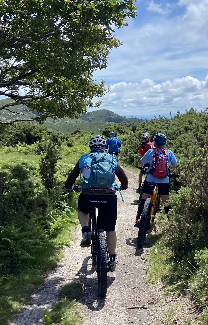 Biking tours